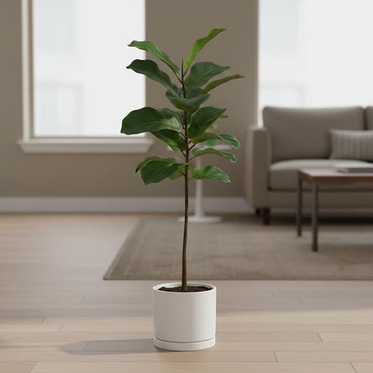 Aveyas 8 inch Ceramic Plant Pot with Drainage Hole and Saucer - Suitable for Indoor and Outdoor Use, Modern Planters for House Garden Flower Tree Snake Monstera Plants (8", Matte White)
