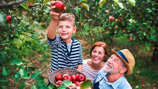 Gardenera Premium Apple Potting Soil Mix - Optimal Nutrient-Rich Blend for Thriving and Juicy Apples - 1 Quart