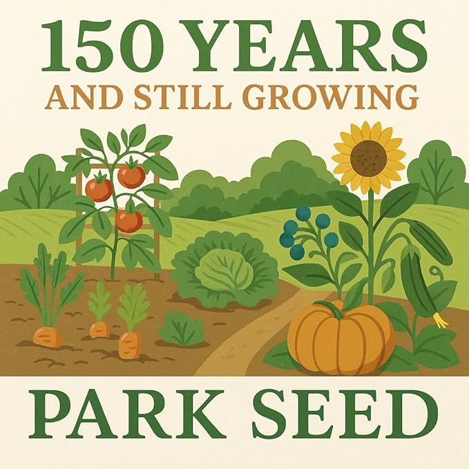 Park Seed Zinnia Flower Planting Seeds, Easy to Grow, Perfect for Spring Garden, Whirligig Hybrid, Pack of 50