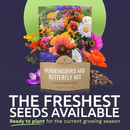 Bulk Wildflower Seeds Butterfly and Humming Bird Mix - 1/4 Pound Bag - Over 30,000 Open Pollinated Annual and Perennial Seeds