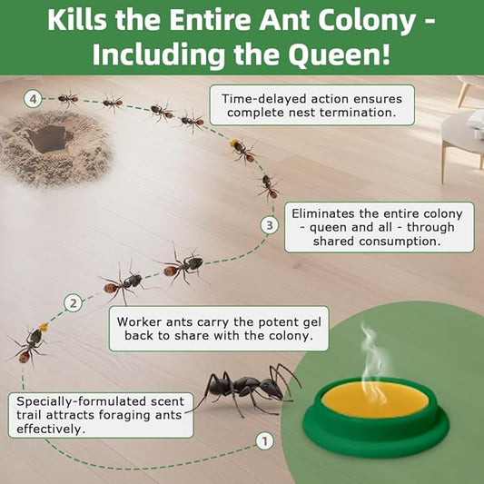 32 PCS Ant Killer Gel Bait Stations, Extra Strengthen Ant Bait Traps, Long-Lasting Effective Pest Gel for Carpenter Ants and Other Common Household Ants, No Mess Easy Use, Safe for Pets and Kids