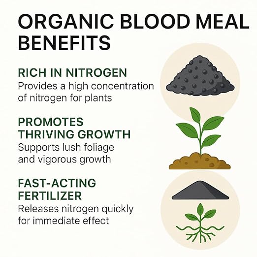 𝐁𝐄𝐒𝐓𝐒𝐄𝐋𝐋𝐄𝐑 Organic Blood Meal Fertilizer by Gardenera - 12-0-0 NPK - All-Natural Plant Food Source of Nitrogen for Organic Gardening, Flowers, Vegetables, Trees & Shrubs - 5 QUARTS
