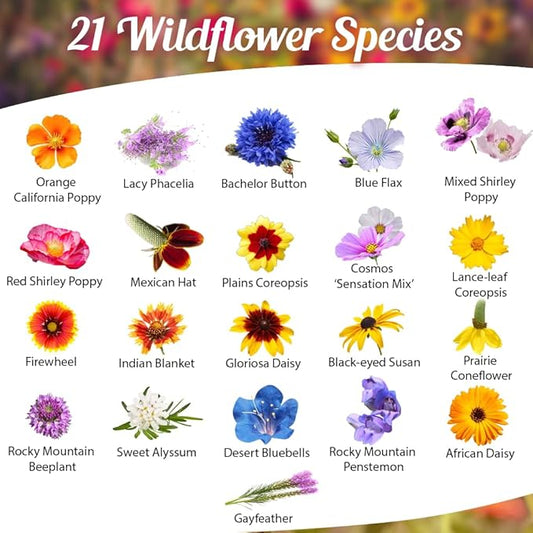 Drought Tolerant Wildflower Seeds - 4oz, Open-Pollinated Bulk Flower Seed Mix for Beautiful Perennial, Annual Garden Flowers - No Fillers - 4 oz Packet