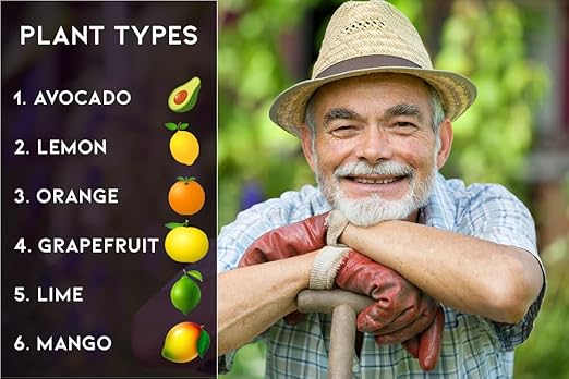 𝐁𝐄𝐒𝐓𝐒𝐄𝐋𝐋𝐄𝐑 6-4-6 Avocado Citrus Tree Plant Food for Outdoor/Indoor Gardening | Quick-Release Nitrogen Fertilizer | Orange, Lime, Avocado and Lemon Tree Fertilizer (1 Quart)