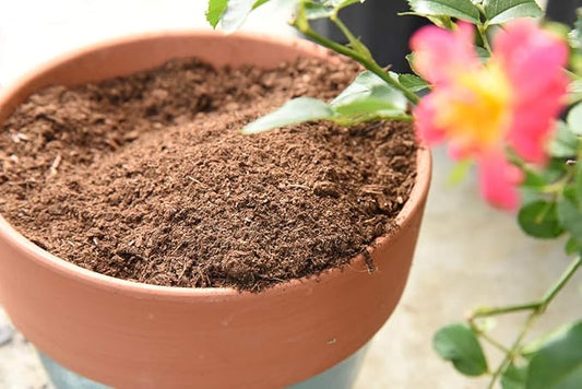 Organic Sphagnum Peat Moss by Perfect Plants - 8 Dry Quarts Absorbs Essential Nutrients When Added to Soil and Enriches Plant Roots - Indoor and Outdoor Soil Medium and Acidifier