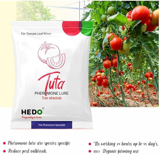 HEDO Delta Pheromone Trap with Tuta Lure for Tomato Leaf Miner(Tuta absoluta) to Control Damage in Tomato Pack of 5