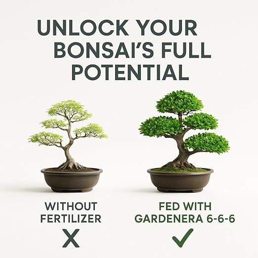 𝐁𝐄𝐒𝐓𝐒𝐄𝐋𝐋𝐄𝐑 Bonsai Fertilizer Pellets – Slow-Release Bonsai Tree Fertilizer & Food for Compact Growth, Dense Branching & Healthy Roots | Ideal for All Bonsai & Money Trees - 5 QUARTS
