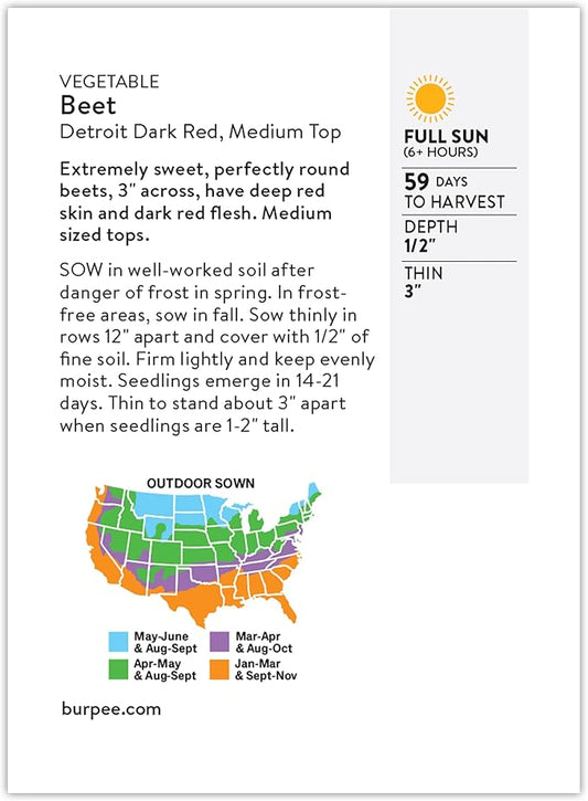 Burpee Detroit Dark Red Beet Seeds - Classic Dual-Purpose Root & Greens