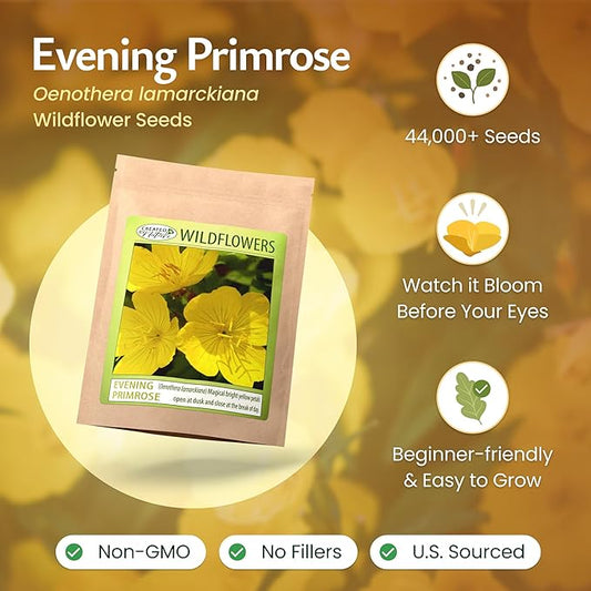 Created By Nature Evening Primrose Seeds, 44,000 Yellow Wildflower Seeds