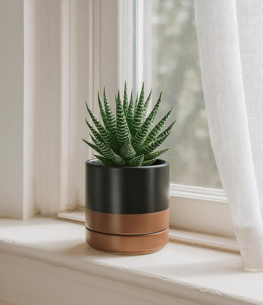 D'vine Dev Set of 4 Small Ceramic Plant Pots, 4.7 Inch Succulent Planter Pot for Plants with Drainage Hole and Saucer, Black/Speckled Tan, 94-X-B-7