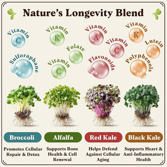 Seedboy Organic Non-GMO Sprouting Seeds, Longevity Blend – USA Grown Microgreens Mix with Broccoli, Red Kale, Black Kale, Alfalfa - 8 oz Bag Makes 6 Quarts / 20 Servings (Longevity Blend)