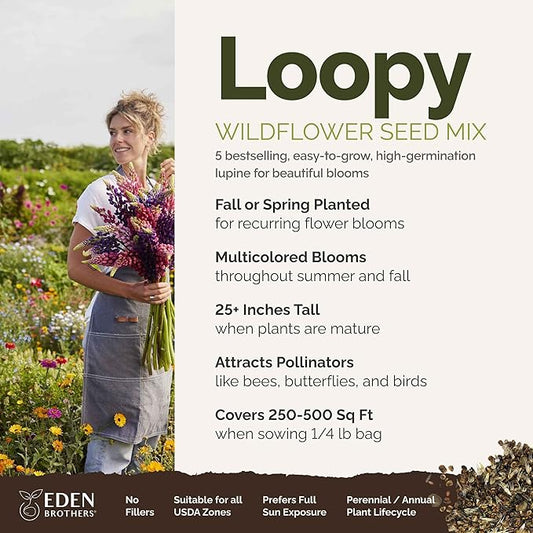 Eden Brothers Lupine Flower Mixed Seeds for Planting, 1/4 lb, 120,000+ Seeds with Russell, Arroyo, Yellow, Sky Lupine | Attracts Pollinators, Plant in Spring or Fall, Zones 3, 4, 5, 6, 7, 8, 9, 10