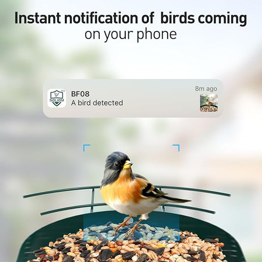 Soliom- Bird Feeder with Camera, 5W Solar Powered, AI Identify Species, Smart Wild Bird Watching, 2K Live View, Instant Arrival Alerts,Large 2.7L Seed Capacity, Metal Squirrel Chew-Proof - BF08 Green