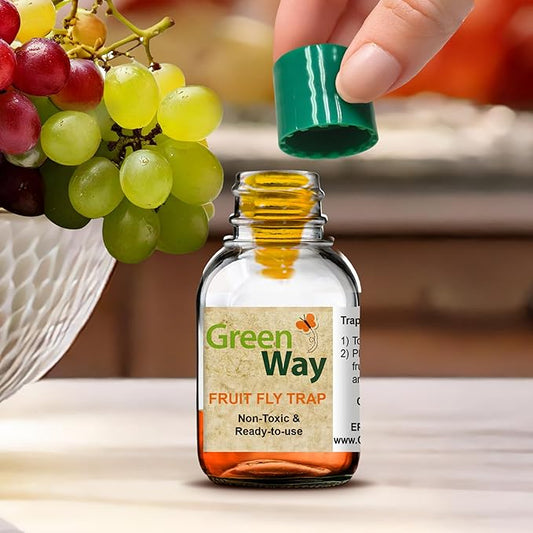 Greenway Traps Fruit Fly Trap, Indoor and Kitchen, Reduced Fruit Fly Infestations, Non-Toxic, Long-Lasting, 2 Packs (Includes 4 Traps)