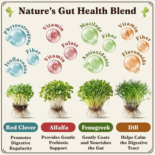 Seedboy Organic Non-GMO Sprouting Seeds, Gut Health Blend – USA Grown Microgreens Mix with Clover, Alfalfa, Fenugreek, Dill – 8 oz Bag Makes 8 Quarts / 24 Servings (Gut Health Blend)