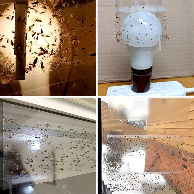 150 Pack Window Fly Trap, Fruit Fly Traps Indoors, Fly Paper Sticky Strips, Fly Traps for Indoors Clear
