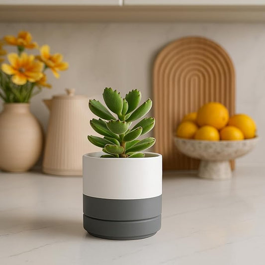 D'vine Dev Set of 4 Small Ceramic Plant Pots, 4.7 Inch Succulent Planter Pot for Plants with Drainage Hole and Saucer, White/Speckled Grey, 94-X-B-6