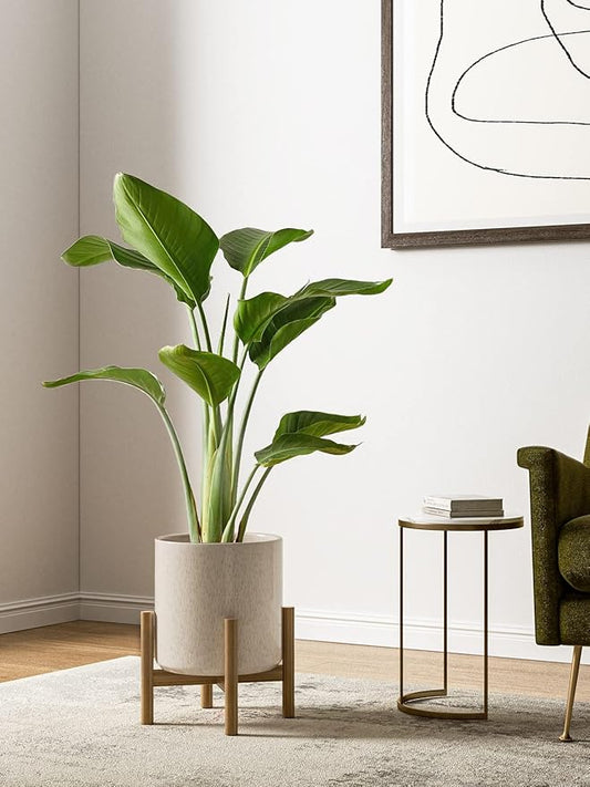 LE TAUCI Ceramic Plant Pots Indoor, 10+8+6 Inch Planters for Indoor Plants, Mid-Century Modern Flower Pots with Drainage Hole and Plug, Cylinder Round Planters, Set of 3, Reactive Glaze Beige