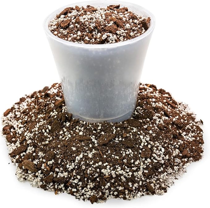 GARDENERA Anthurium Soil - Ideal Formula for Healthy and Vibrant Anthurium Growth - 3 QUARTS