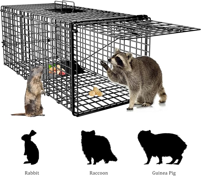 Live Humane Animal Trap, 32" x 11" x 12" Heavy Duty Humane Animal Cage Trap Catch and Release, Foldable Cat Trap for Stray Cats, Raccoons, Groundhogs, Opossums, Armadillos, and Similar-Sized Animals