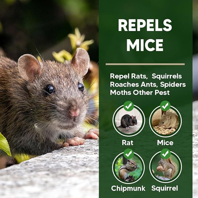 Rodent Repellent Indoor,Mouse Repellent,Mice Repellent Indoor,Rodent Away Repellant,Rat Repellent,Keeps Mice Away,Peppermint Oil Repel Mice from Nesting,Covers 50 sq. ft,Effective for 60-90 Days-4P
