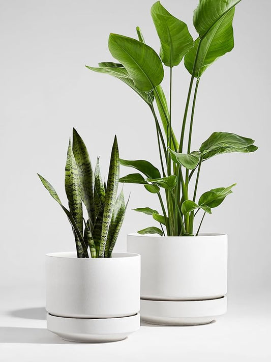 LE TAUCI 12 Inch Pots for Plants with Saucer | Ceramic Outdoor & Indoor Planter Pot for Plants | Drainage Hole, Mesh Pad & Plug | Unglazed Porous | Modern for Home, Office and Patio – Chalk White