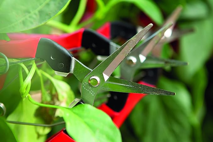 Felco F322 Pruning Snips – 9.84" Garden Clippers with Curved Blade & Rounded Tip | Pruning Shears for Gardening | Garden Snips and Pruners with Carbon Steel Blade, Sap Groove