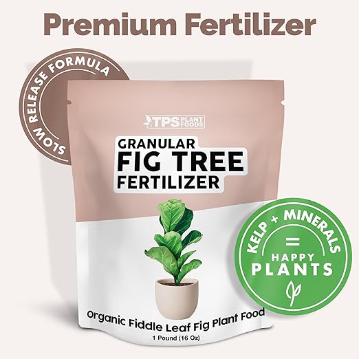 Organic Fiddle Leaf Fig Plant Food, Slow Release Dry Granular Fertilizer for Fig Plants and Ficus Trees - 1 Pound (16 Oz)