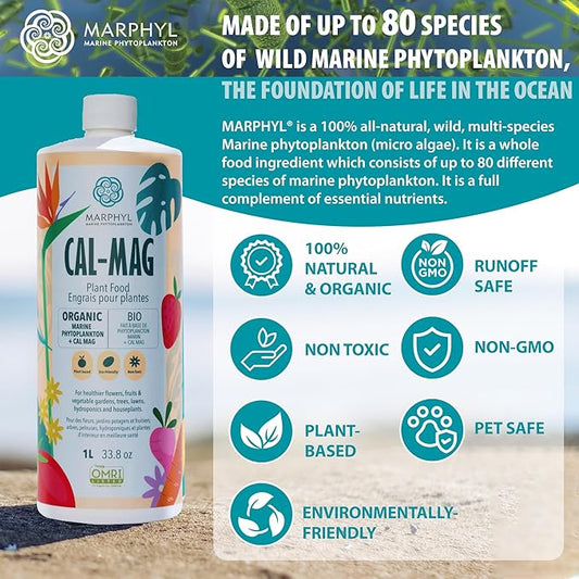 MARPHYL Organic Cal-Mag Liquid Fertilizer – Calcium & Magnesium Supplement to Correct Plant Deficiencies, Supports Strong Growth for Garden Flowers, Vegetables, Succulents & Hydroponics