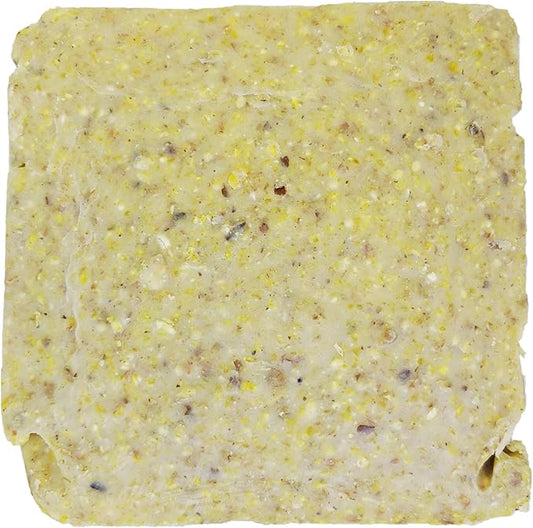 ST. ALBANS BAY SUET PLUS Suet Cake Variety Packs | 11 oz. Wild Bird Suet Cakes | (Pecan, 10 Pack)