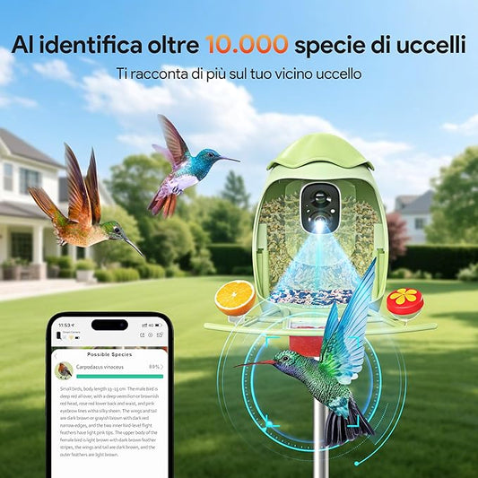 Osoeri Smart Bird Feeder with Camera – AI Identify & 2K HD Live Video, Outdoor Solar Birdfeeder for Backyard Wild Birds, Real-Time Alerts, Ideal Gifts for Bird Lovers & Families, 2.4GHz WiFi