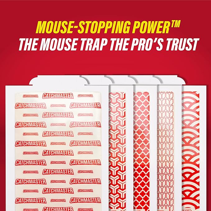 Catchmaster Mouse & Insect Glue Boards 60pk, Mouse Traps Indoor for Home, Adhesive Bug Catcher, Rat & Rodent Sticky Trap, Bulk Glue Traps Used by Pros, Pest Control for Home