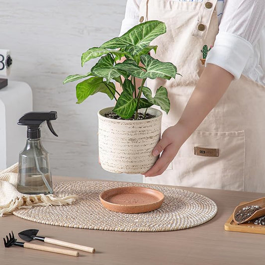 6 Inch Plant Pot: Ceramic Planter with Drainage Hole & Saucer - Flowerpot for Indoor & Outdoor Plants with Separate Tray for Home & Office - Brush Color