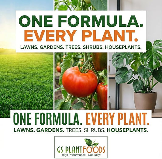 Organic Kelp Fertilizer by GS Plant Foods - Omri Certified (1 Quart) - Kelp Fertilizer for Gardens, Lawns & Soil