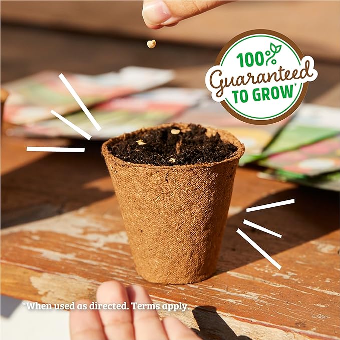 Back to The Roots 100% Organic Seed Packets - Peppermint (Pack of 2)