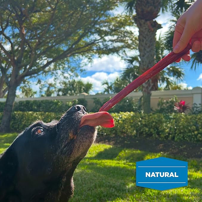 Best Bully Sticks Smoked Bully Sticks with Collagen for Dogs - 10-12 Inch, 5 Count (Pack of 1) - Natural, Grain Free Dog Chews - Large, Long-Lasting Treats for Aggressive Chewers