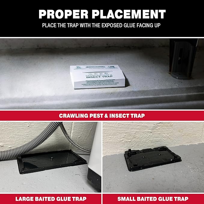 Catchmaster Glue Trap Variety Pack - 2 Mouse Trays, 2 Rat Trays, 4 Insect Glue Traps, Mouse Traps Indoor for Home, Pest Protection Kit for Basement & Garage, Rodent & Insect Pest Control
