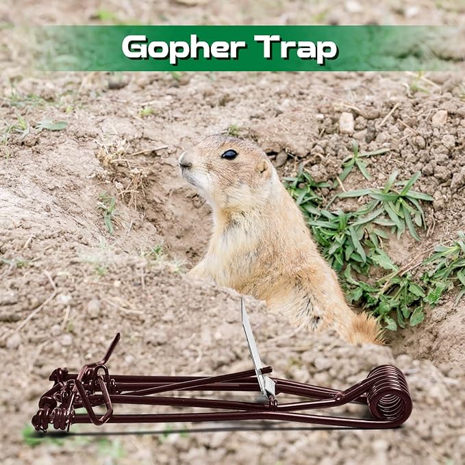 Qualirey 8 Pcs Outdoor Gopher Trap Easy Set Mole Trap Weather Resistant Gopher Killer Vole Killer for Lawn Garden Farm (Coffee)