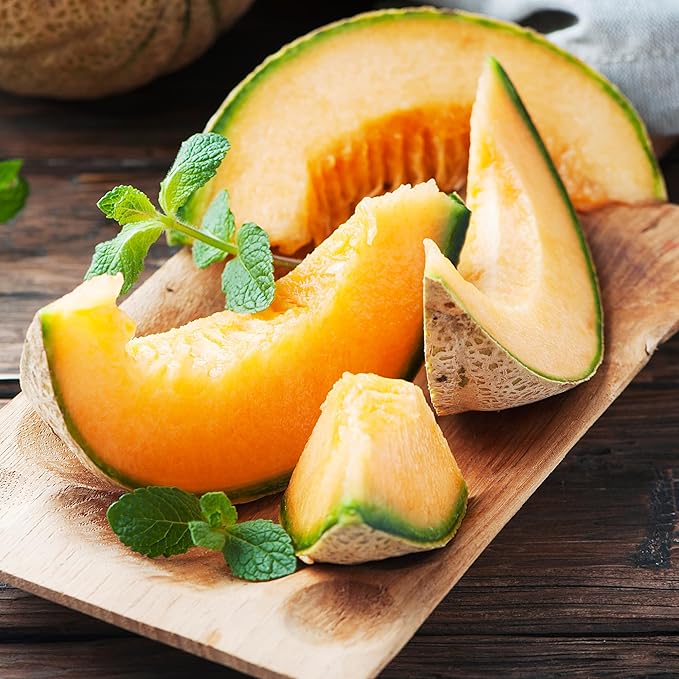 Back to The Roots 100% Organic Heirloom Seeds - Cantaloupe Melon Value Pack (2.4g Total)