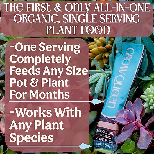 Complete Organic Cactus & Succulent Fertilizer, Succulent Plant Food & Cactus Food, Bonsai, Snake Plant Fertilizer, 7 Servings Fast & Slow Release Feeds up to 28 Plants 8 Months