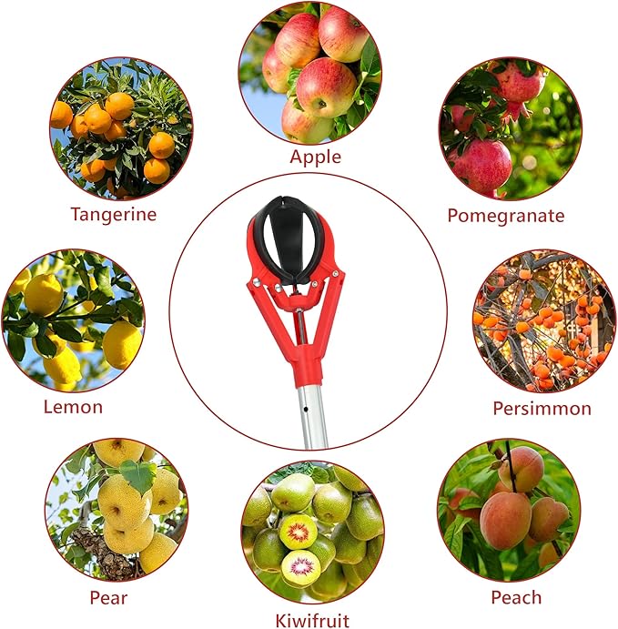 Adjustable Fruit Picker Extension 51"-91" Aluminum Telescoping Pole, Multi-Function Fruit Grabber for Lemons, Oranges, Persimmon, Avocados, Gentle Harvesting, No Bruising