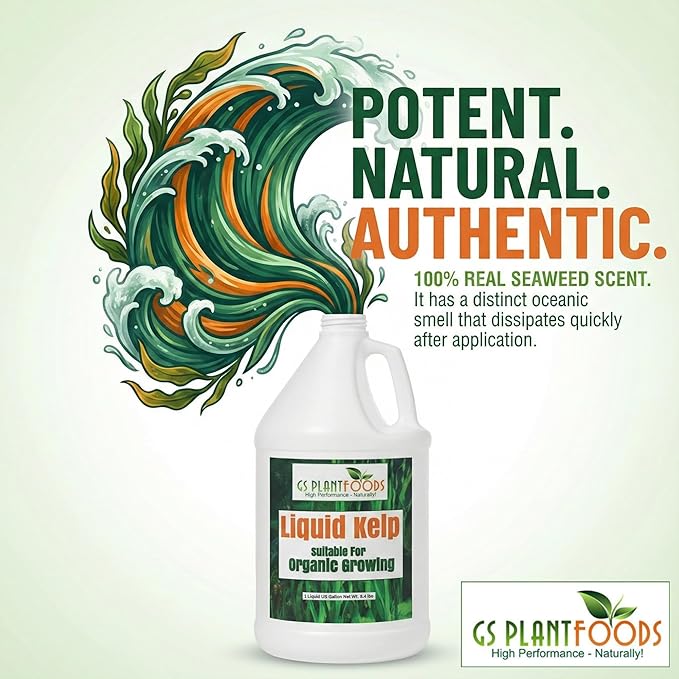 GS Plant Foods Liquid Kelp Fertilizer – Suitable for Organic Growing, OMRI Listed Seaweed Concentrate for Lawns, Gardens & Soil - 1 Quart