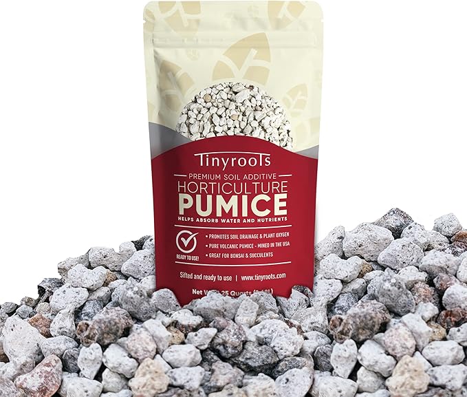 Bonsai Outlet Horticultural Pumice for Plants - Tinyroots 2.25 Quarts Soil Aggregate for Succulents, Cactus and Bonsai Plants