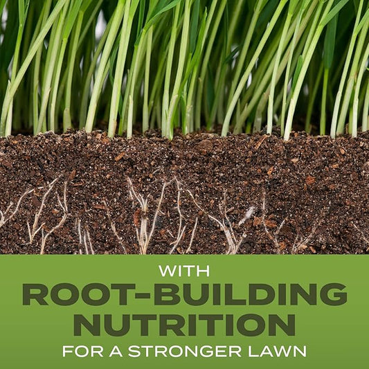 Scotts Turf Builder Grass Seed Tall Fescue Mix with Fertilizer and Soil Improver, Resists Harsh Conditions, 16 lbs.