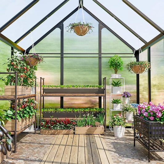 Polycarbonate Greenhouse Kit,8x6x6 FT Outsides Heavy Duty Green House with Transparent Panels Windows Door for Backyard Garden, Outside Walk in Plant Greenhouses,Black Thick Frame