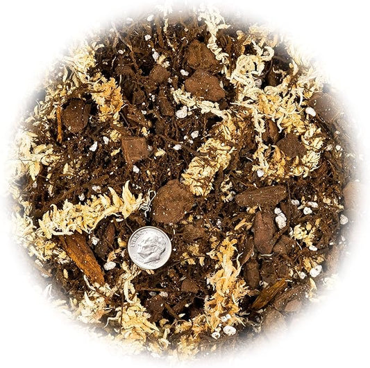 Gardenera Premium Orchid Mix by GARDENERA - 10 Quart - Fern + New Zealand Pine Bark + Sphagnum Moss + Perlite | Best for Growing and Repotting Orchids (2 Bags of 5 QT)