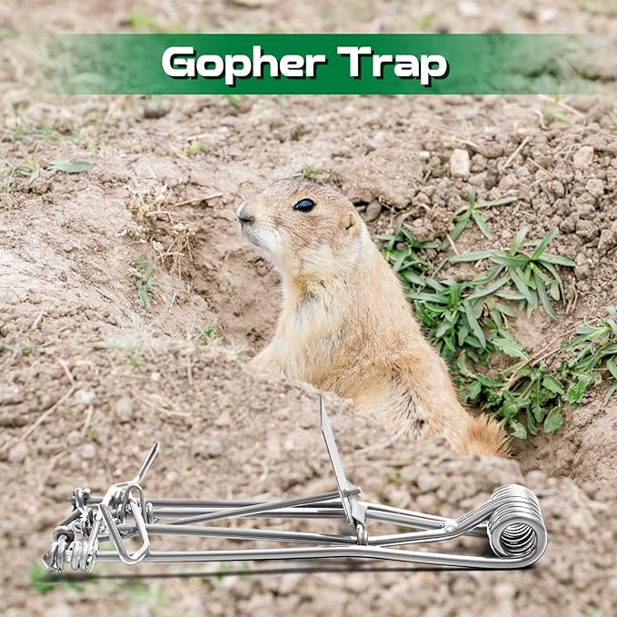 Qualirey 12 Pcs Outdoor Gopher Trap Easy Set Mole Trap Weather Resistant Gopher Killer Vole Killer for Lawn Garden Farm (Silver)