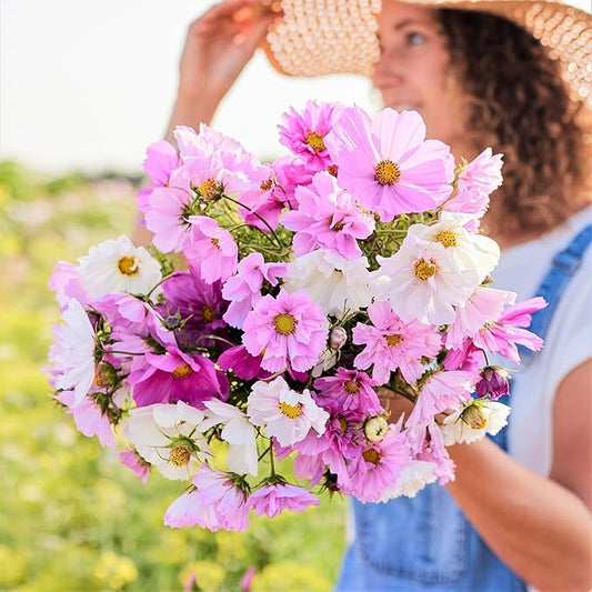 Eden Brothers Cosmos Seeds - Double Click Mixed
