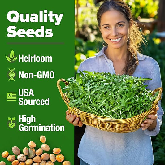 HOME GROWN Arugula Seed 2 Pack – 4350 Vegetable Seeds – Non GMO Ideal Seeds for Hydroponic Garden Indoor – Premium and Heirloom Arugula Seeds for Planting (Eruca vesicaria)