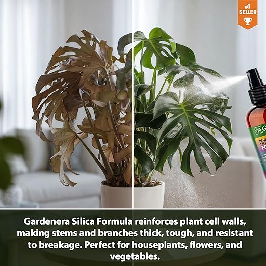 𝐏𝐑𝐄𝐌𝐈𝐔𝐌 Liquid Silica Plant Supplement - 8oz (250mL) - Lime Trees Plants Liquid Silica Boost Fertilizer - Stronger Stems & Healthy Leaves for Indoor & Outdoor Lime Trees (Makes 45 Gallons)